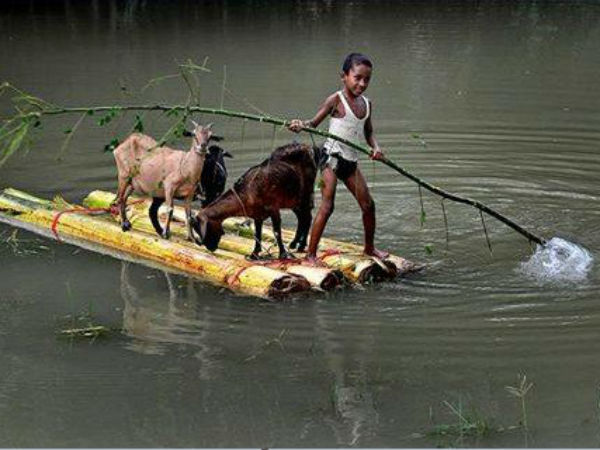 Assam floods: Water level recedes, leaves vast trail of destruction