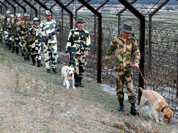 BSF BSF