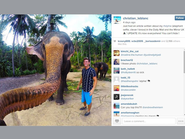 elephant-selfie elephant-selfie