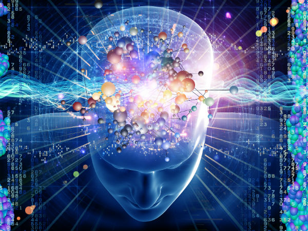 HUMAN HUMAN