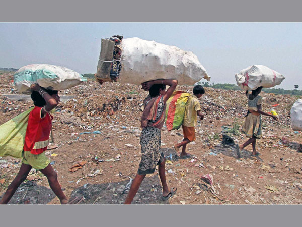 World Environment Day