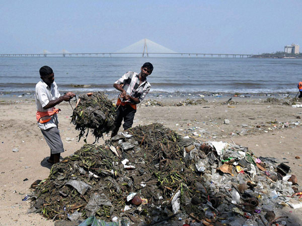 World Environment Day