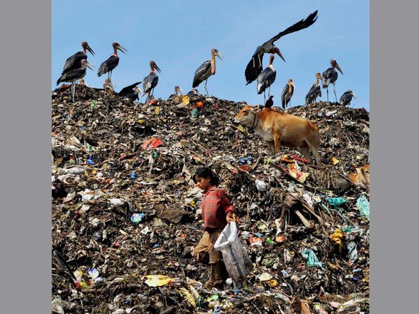 World Environment Day