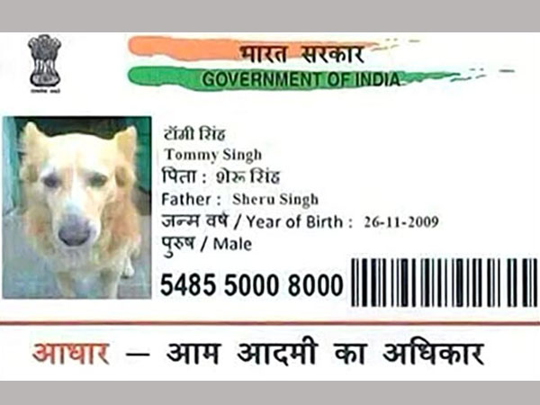 This dog in MP has Aadhaar card This dog in MP has Aadhaar card
