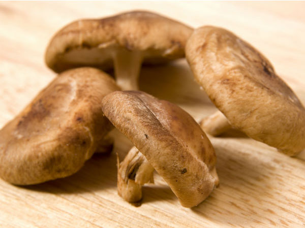 Mushroom Mushroom