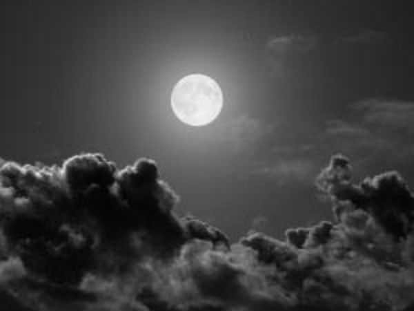 moon moon