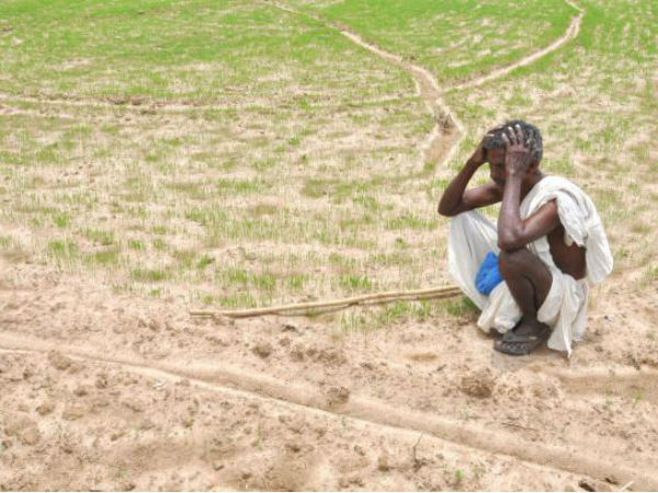 farmer farmer