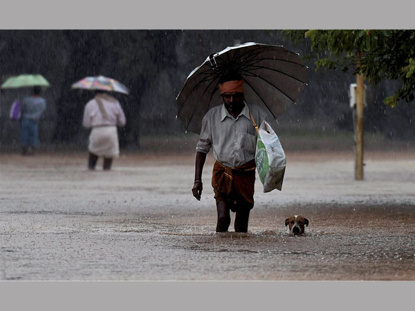 UAE waives transfer fee to Chennai UAE waives transfer fee to Chennai