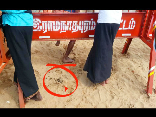 Defecation by stray animals upset the family. Defecation by stray animals upset the family.