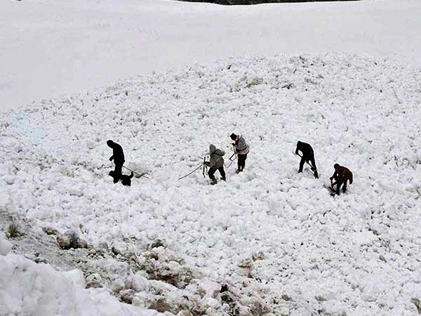Body of one Siachen avalanche victim found. Body of one Siachen avalanche victim found.
