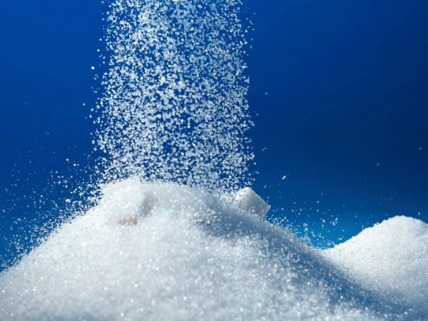 Sugar prices plunge on record production, weak demand Sugar prices plunge on record production, weak demand