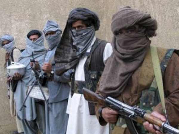800 Al-Qaeda fighters dead 800 Al-Qaeda fighters dead