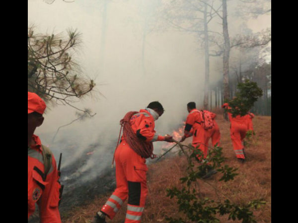 More forest fires in 4 months in 2016 than 2015: Prakash Javadekar More forest fires in 4 months in 2016 than 2015: Prakash Javadekar