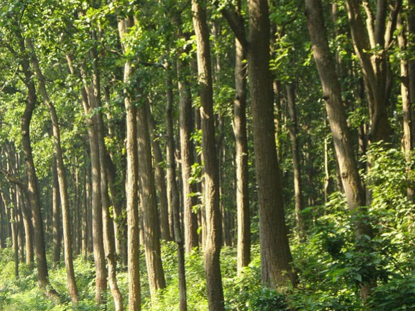 More green roads soon in the country More green roads soon in the country
