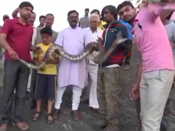 Python Attacks Man While He Tries Clicking Selfie With It Watch
