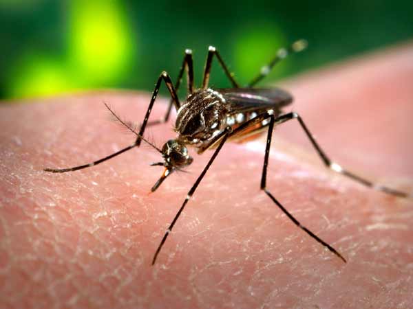 India to eliminate malaria from by 2030 India to eliminate malaria from by 2030