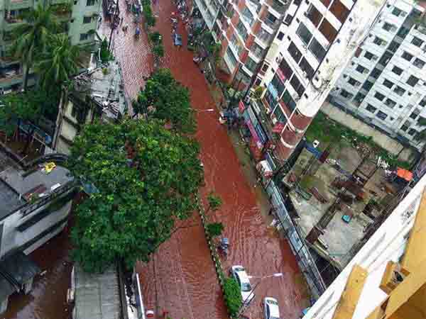 Rivers of blood in Dhaka on Eid Rivers of blood in Dhaka on Eid