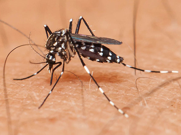 Unique Zika case puzzles US officials Unique Zika case puzzles US officials