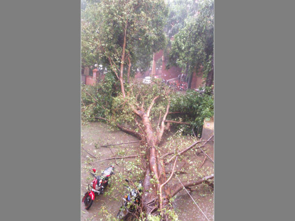 Effects of Cyclone Vardah