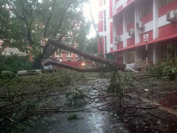 Effects of Cyclone Vardah