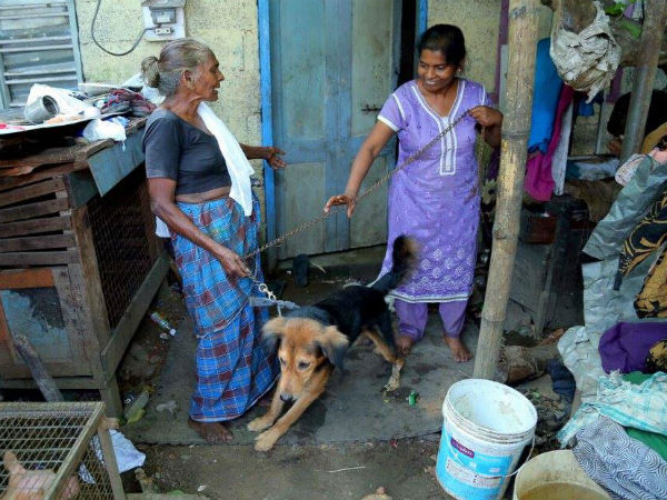 Dogs are saviours for these women: