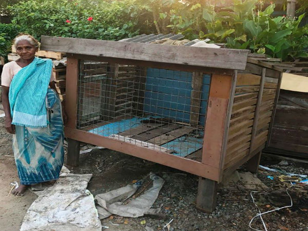 When Stray Dogs found a Home