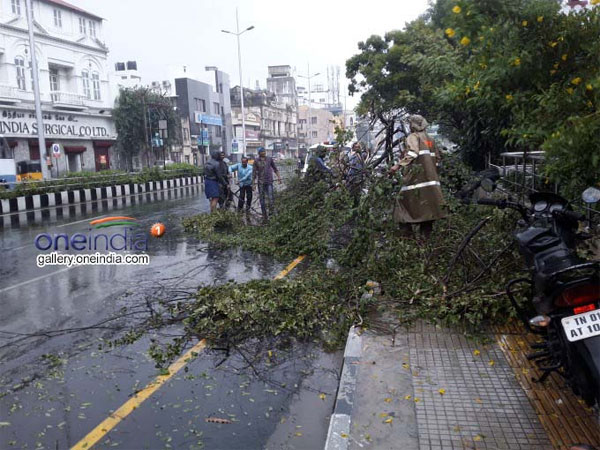 Cyclone Vardah: Two killed in TN Cyclone Vardah: Two killed in TN