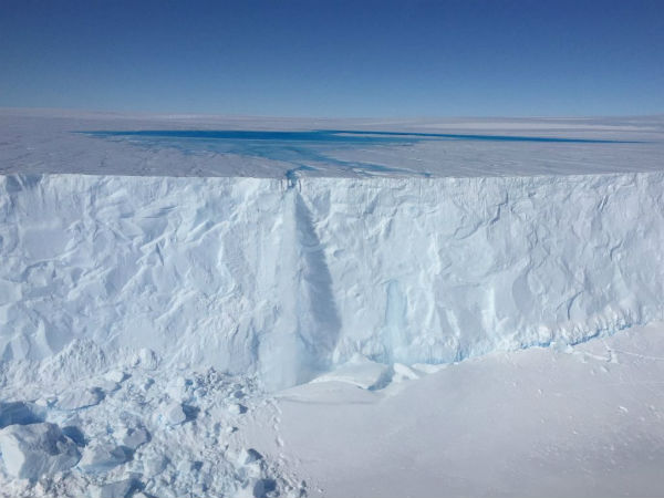 Save the Artic