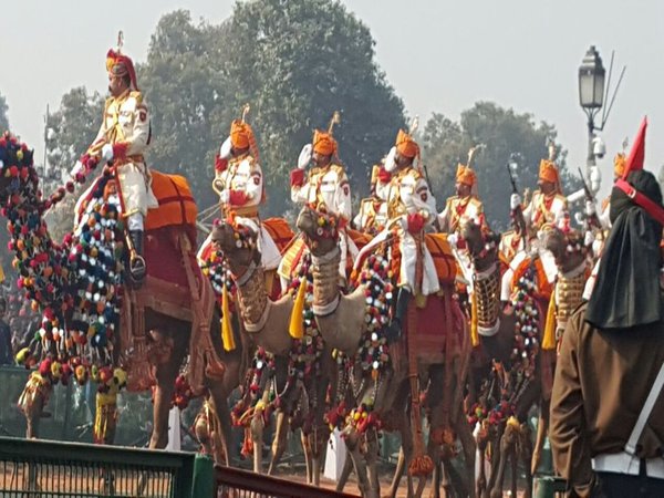 Camel Battalion Camel Battalion