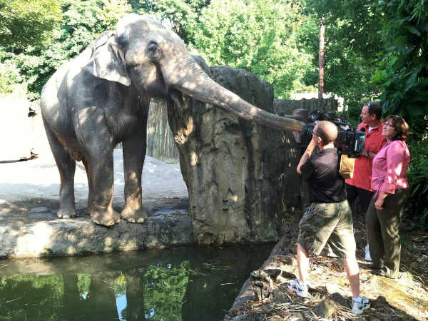 Outcry from animal activists Outcry from animal activists