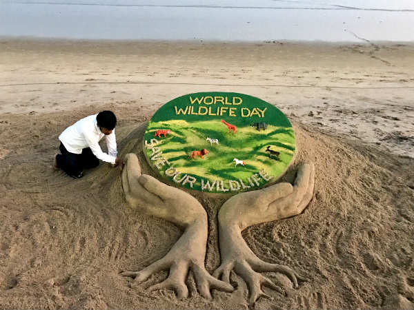 Indian sand artist creates sand art on World Wildlife Day