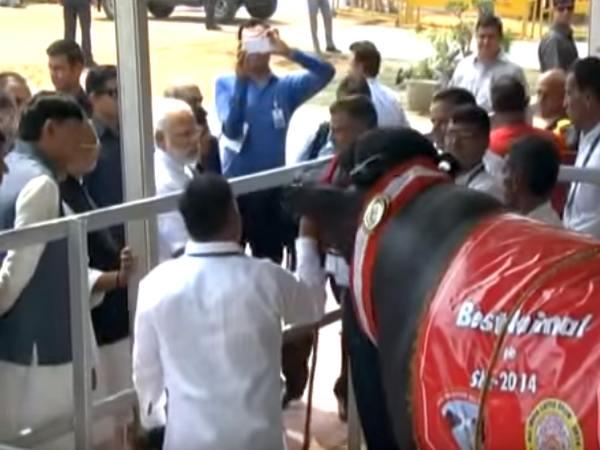 Even Modi couldn't resist!