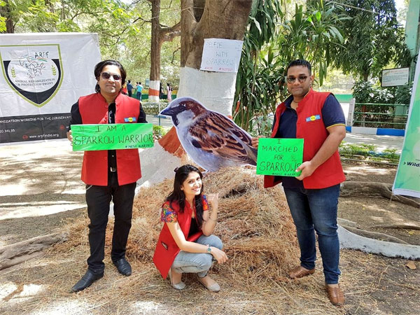 Save sparrows, save nature