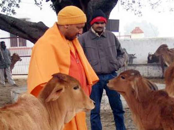 Meet Yogi Adityanath The Animal Lover Oneindia News