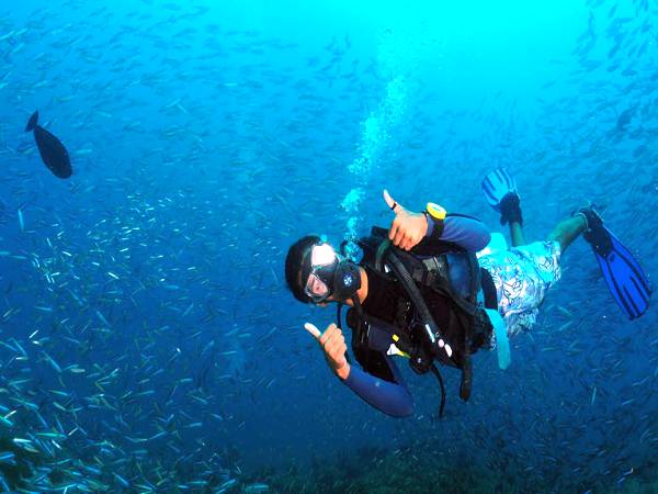 Diving in Andaman waters