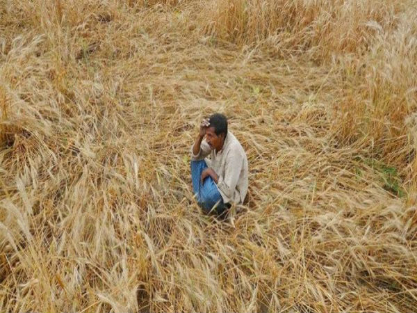 Loan waiver for farmers