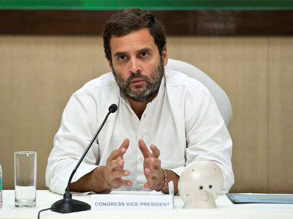 Congress Vice President Rahul Gandhi Congress Vice President Rahul Gandhi