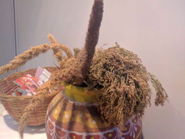 Farmer's food: Millet Farmer's food: Millet