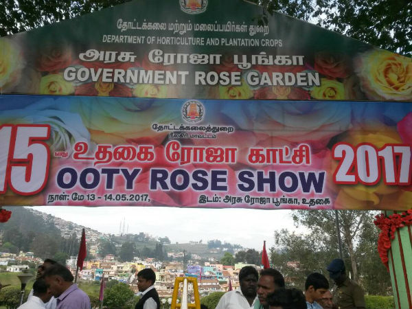 Other than rose show: