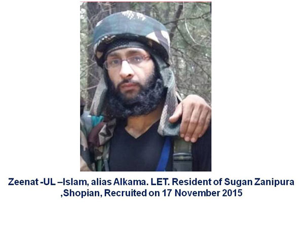 Zeenat alias Alkama
