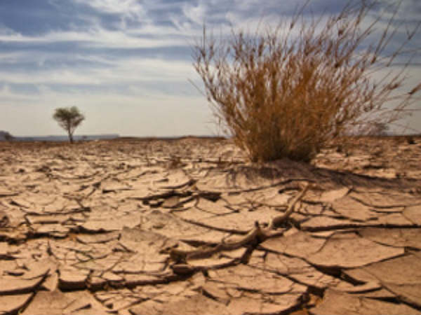 Facing worst drought in 100 years, showers and toilet restrictions imposed in Cape Town Facing worst drought in 100 years, showers and toilet restrictions imposed in Cape Town