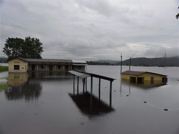 A submerged school A submerged school