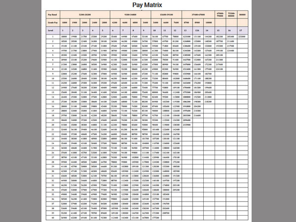 Pay matrix