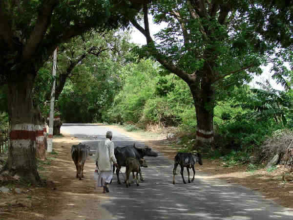 Centre's nod to change 'embarrassing' names of 2 Hry villages Centre's nod to change 'embarrassing' names of 2 Hry villages