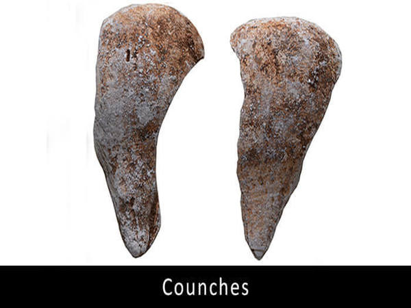 Counches Counches