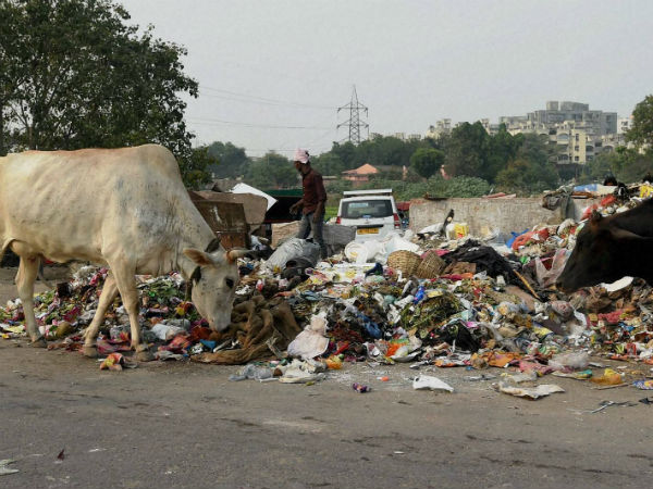 Sanitation workers turn 'semi-naked' during protest to get back jobs Sanitation workers turn 'semi-naked' during protest to get back jobs