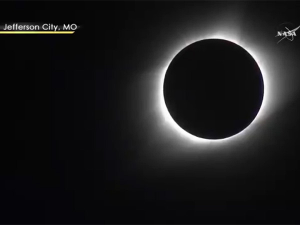 Solar Eclipse 2017: When the crickets chirped thinking it was night Solar Eclipse 2017: When the crickets chirped thinking it was night