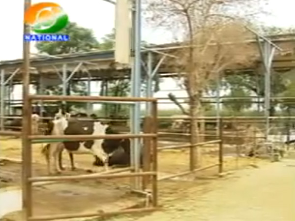 Krishi Darshan