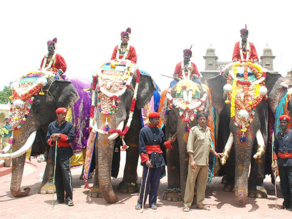 Dasara 2017: Meet the stars of Mysuru Dasara Dasara 2017: Meet the stars of Mysuru Dasara