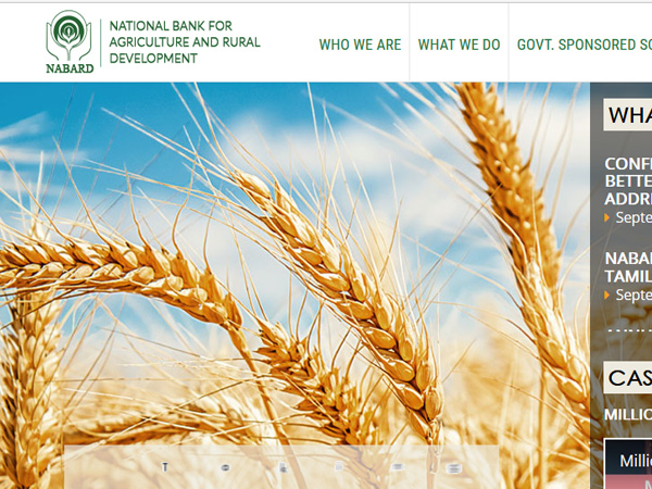 NABARD Grade A & Grade B Phase 2 Mains Results 2017 declared, how to check NABARD Grade A & Grade B Phase 2 Mains Results 2017 declared, how to check